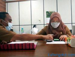 Peserta Luar Kabupaten Mengikuti Ujian Seleksi PPPK SMA di Pulpis