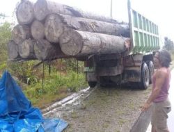 Angkutan Kayu Log Mempercepat Kerusakan Jalan Umum