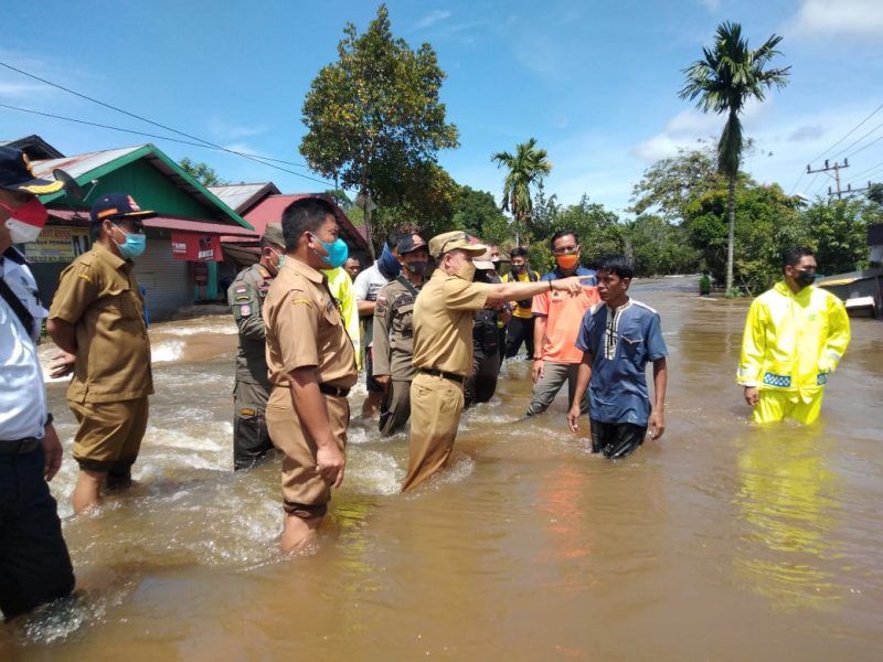 kasongan-kereng pangi