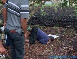 Tukang Kebun Tewas Dalam Keadaan Sujud di Bawah Pohon