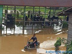 Desa dan Kelurahan di Kecamatan Murung Dikepung Banjir