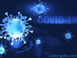 Gelombang Ketiga Covid-19 Diprediksi Muncul Pascanatal dan Tahun Baru
