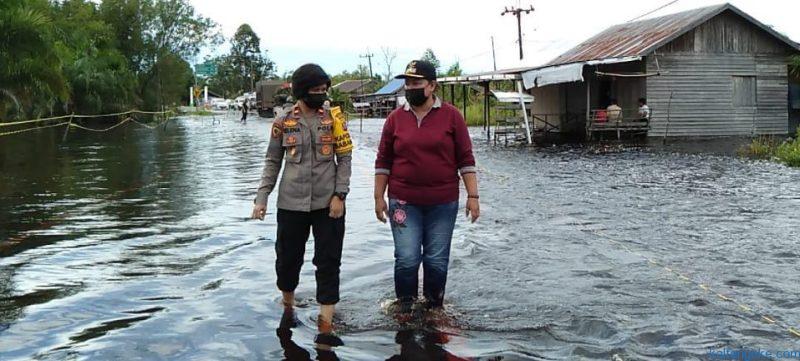 jalan trans kalimantan