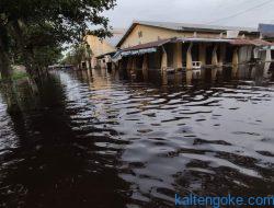Banjir Rendam Pasar Kahayan, Pedagang Tutup Lebih Awal