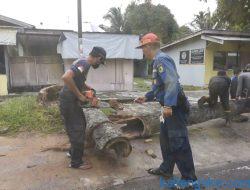 Tim Rescue Damkar LCEC 112 Tebang Pohon Rawan Tumbang