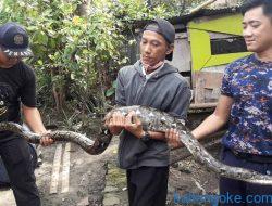 Personel Call 112 Kota Palangka Raya Siap Hadapi Gangguan Hewan Liar