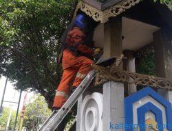 Tawon Lalat Menyerbu, Call 112 Turunkan Regu