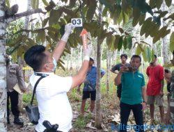 Kakek 70 Tahun Pilih Akhiri Hidup di Pohon Paken