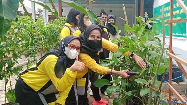 Budidaya Madu