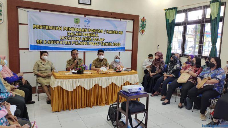 DP3AP2KB pulpis