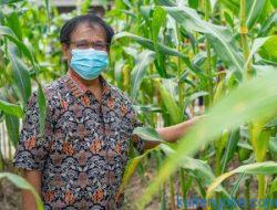 UPR Panen Raya Hasil Karya Nyata Softskill Bidang Pertanian