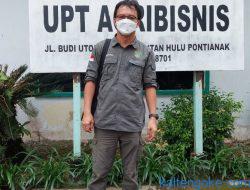 Ribuan Babi di Barito Timur Mati Terinfeksi Virus ASF