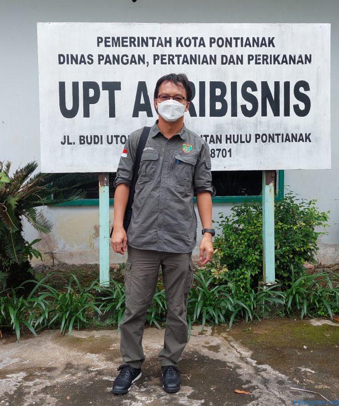 Ribuan Babi