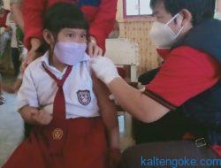 Tim Kesehatan Kejar Target Vaksinasi Anak, Sasar Murid SD dan TK