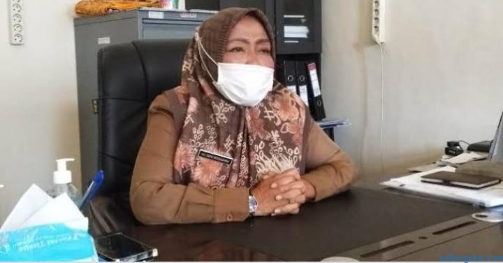 Kepala DPMD