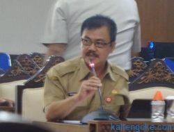 Rencana Ekstentifikasi Program Food Estate Seluas 20.000 Hektare