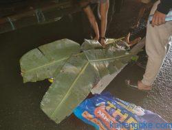 Diduga Terlindas Truk Indomart, Bocah Tewas Bersimbah Darah