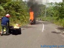 Motor Terbakar, Diduga Milik Kurir Ekspedisi