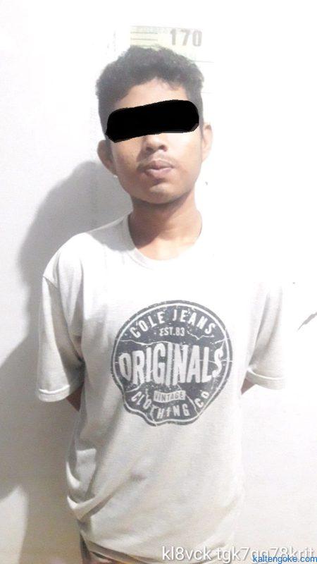dandang