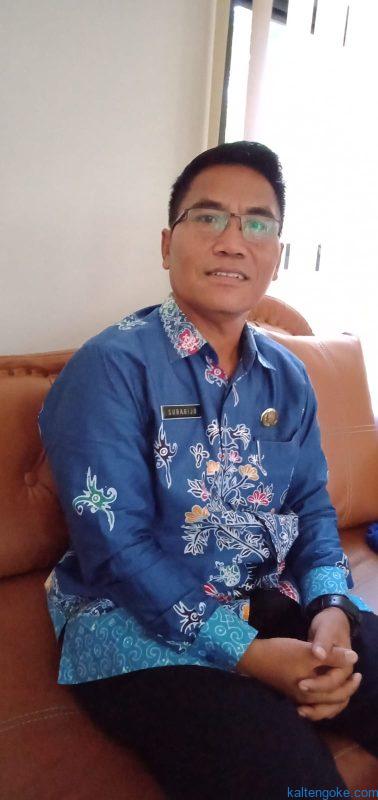 Tingkat Pelaporan