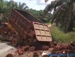 Memanas, Warga Hentikan Paksa Aktivitas PT NAL, Truk Pemanen Dicegat saat Angkut TBS