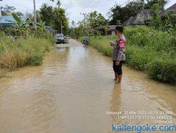 Intensitas Hujan Tinggi Kawasan Banama Tingang Banjir