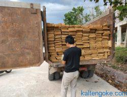 Angkut Kayu Bodong, Sopir Truk Dibekuk