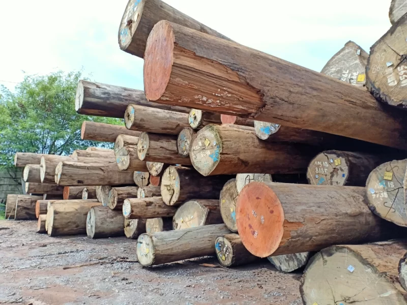 kayu log