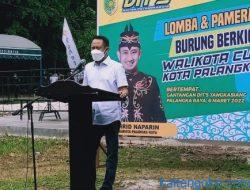 Tingkatkan Perekonomian Melalui Perlombaan Burung