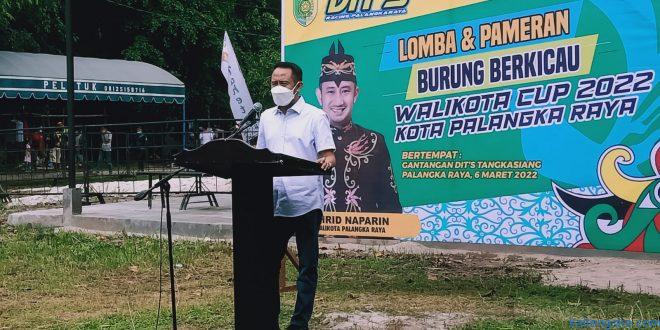 burung