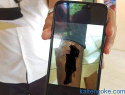 Perampok Sarang Walet di Lamandau Masih Berlenggang Bebas