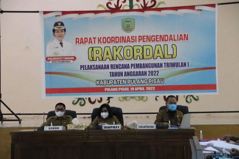 Bupati Pulang Pisau