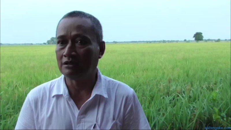 Pulang Pisau