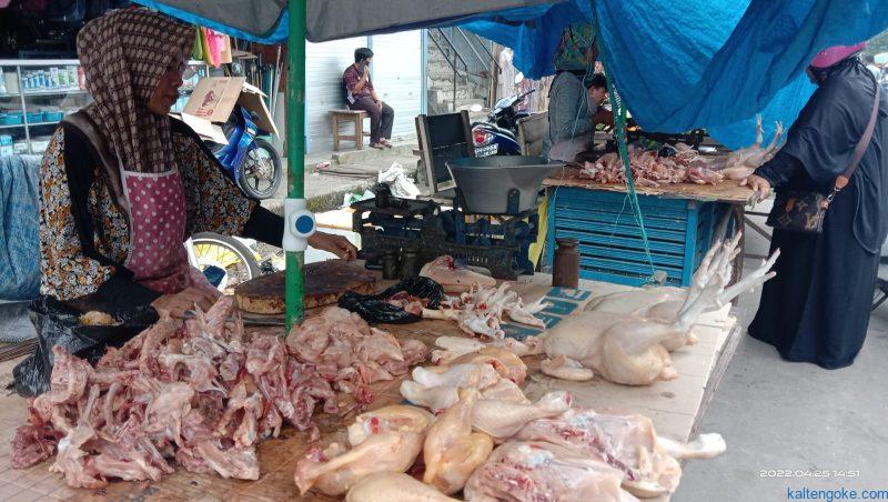 harga daging