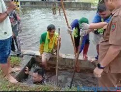 Hujan Deras, Sejumlah Drainase Tak Mampu Tampung Debit Air