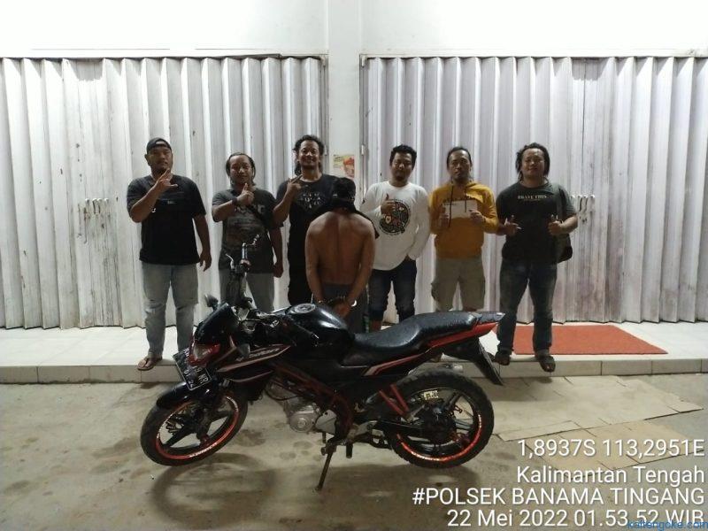 pulpis