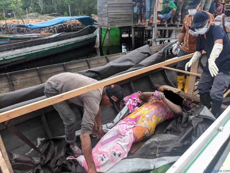 buaya sebangau