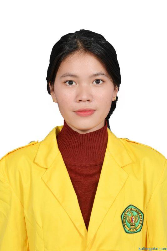 media sosial