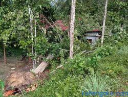 Angin Kencang, Bangunan Puskesmas Tertimpa Pohon