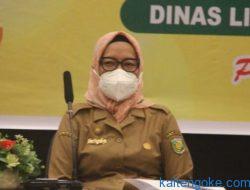 Pendatang Baru Harus Produktif Dukung Pertumbuhan Ekonomi