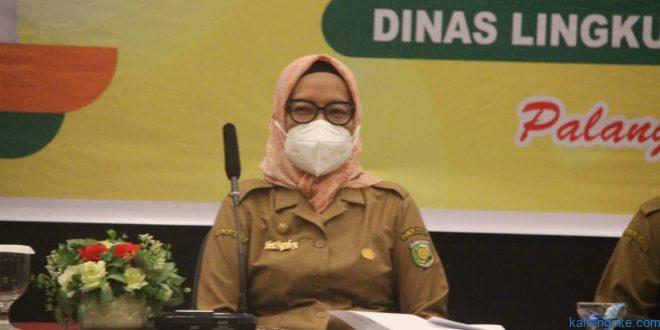 pendatang baru