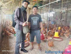 Masyarakat Desa Dirung Pundu Kembangkan Ternak Ayam Petelur