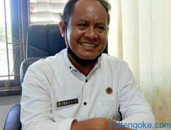 Sambut Idul Adha, Pulpis Siapkan Stok Sapi 250 Ekor
