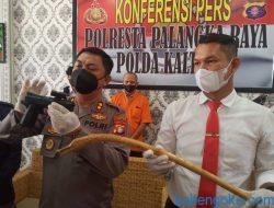 Pria Pengangguran Ini Rampok Toko Aksesoris HP Gunakan Pistol Mainan