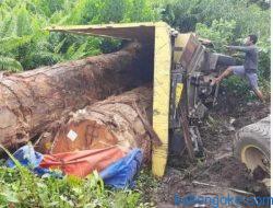 Truk Bermuatan Kayu Log Terperosok di Parit