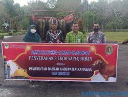 Semua Hewan Kurban Dipastikan Layak dan Sehat