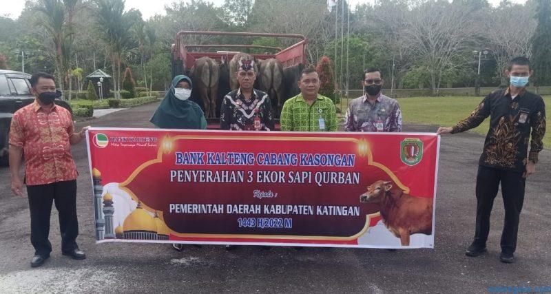 Semua Hewan Kurban