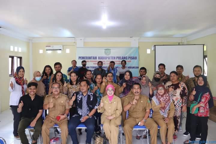 Disperindagkop UKM Pulpis