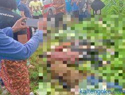 Mobil Nyungsep ke Parit, Nyawa Satu Keluarga Melayang