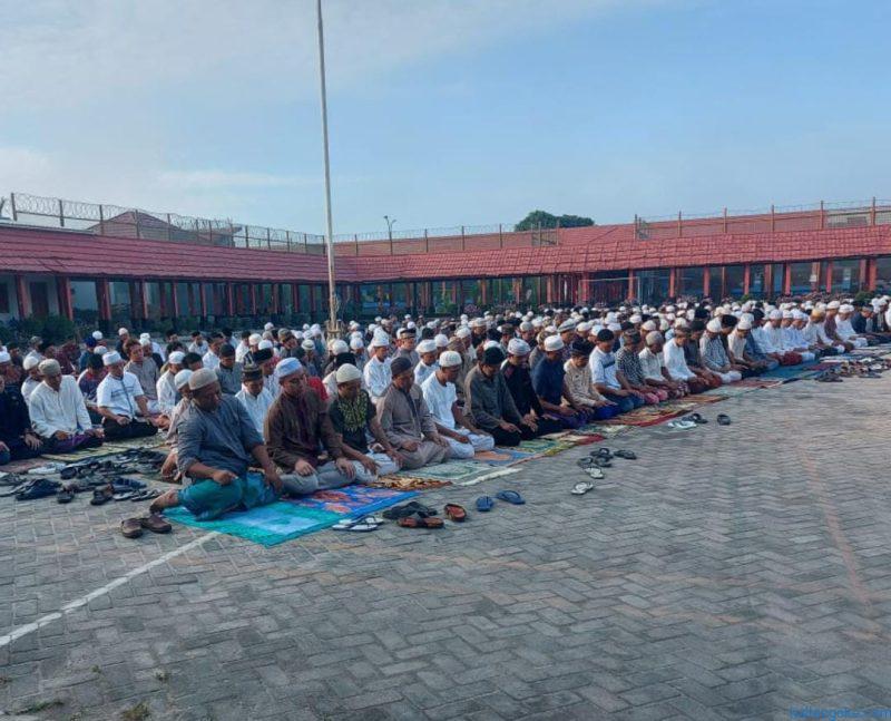 salat ied